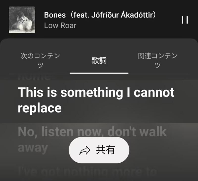 Lyrics displayed in the app