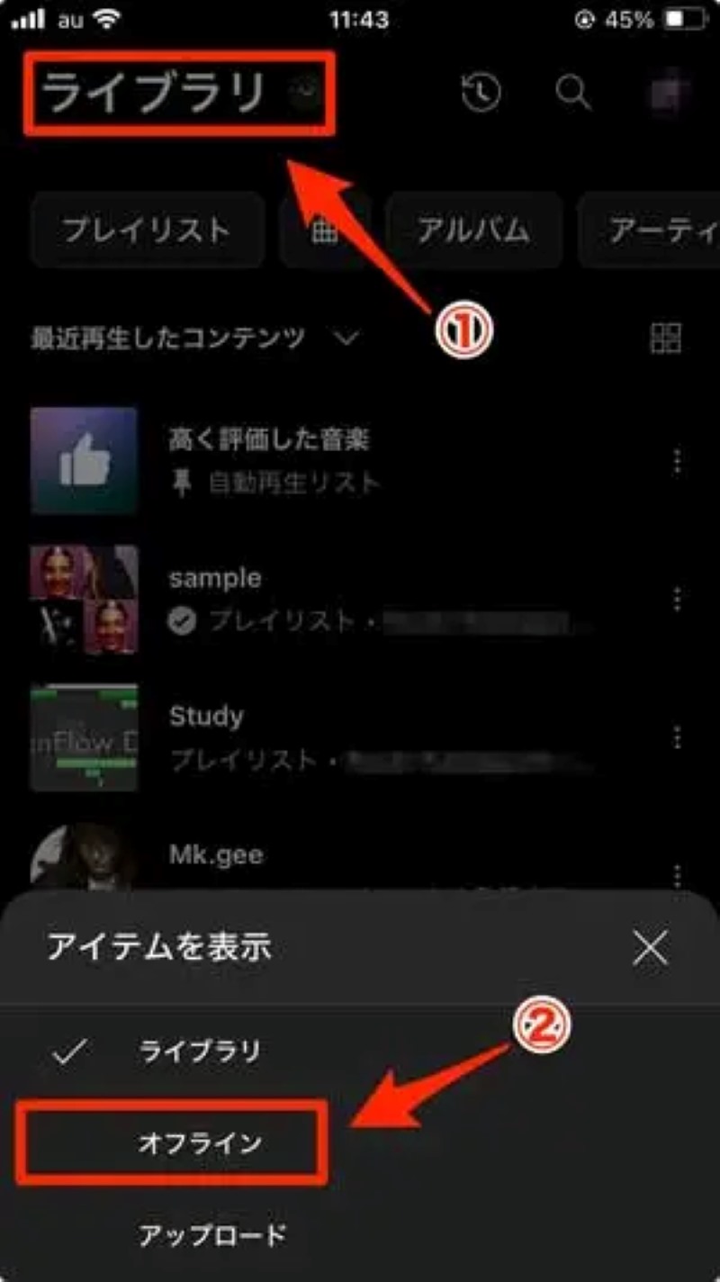 Select "Offline"