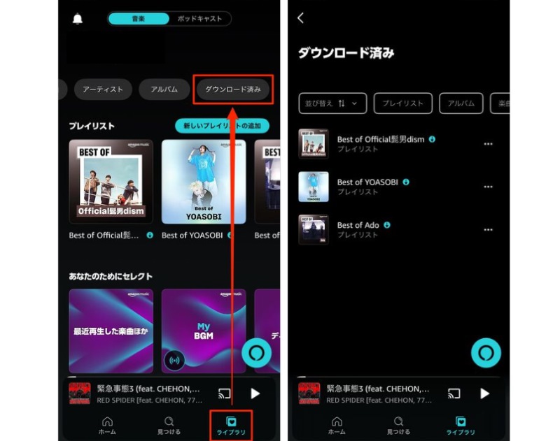 Play Amazon Music songs offline