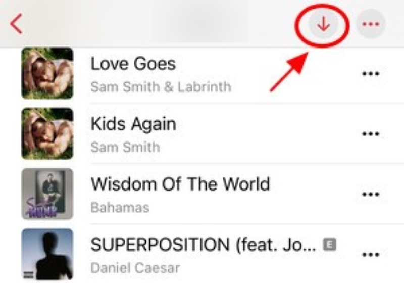 Download Apple Music playlists