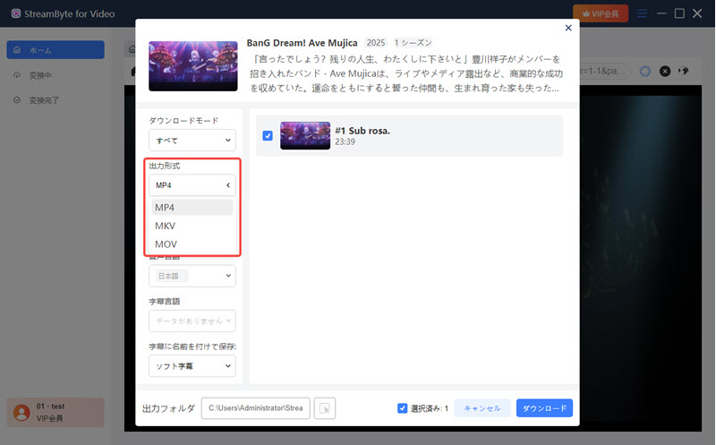 Select MP4 output format