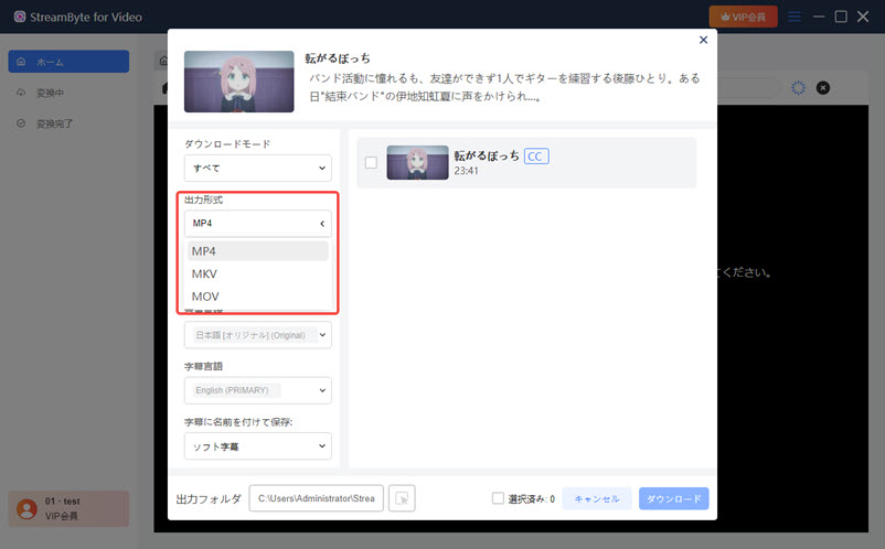MP4出力形式を選択